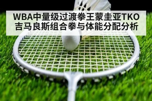 WBA中量级过渡拳王蒙圭亚TKO吉马良斯组合拳与体能分配分析