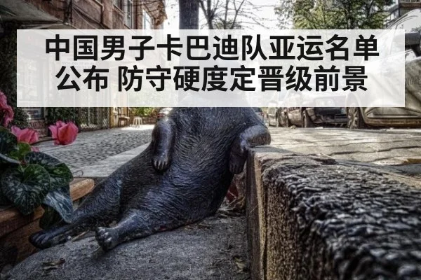 中国男子卡巴迪队亚运名单公布 防守硬度定晋级前景